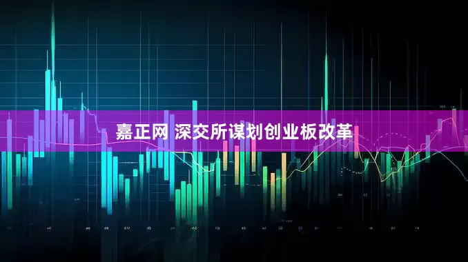 嘉正网 深交所谋划创业板改革