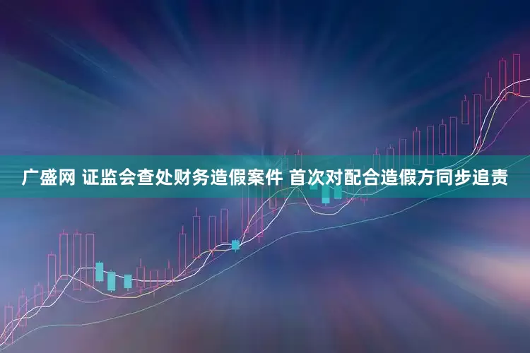 广盛网 证监会查处财务造假案件 首次对配合造假方同步追责