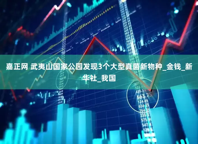 嘉正网 武夷山国家公园发现3个大型真菌新物种_金钱_新华社_我国