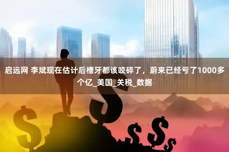 启远网 李斌现在估计后槽牙都该咬碎了，蔚来已经亏了1000多个亿_美国_关税_数据