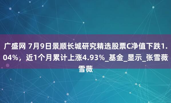 广盛网 7月9日景顺长城研究精选股票C净值下跌1.04%，近1个月累计上涨4.93%_基金_显示_张雪薇