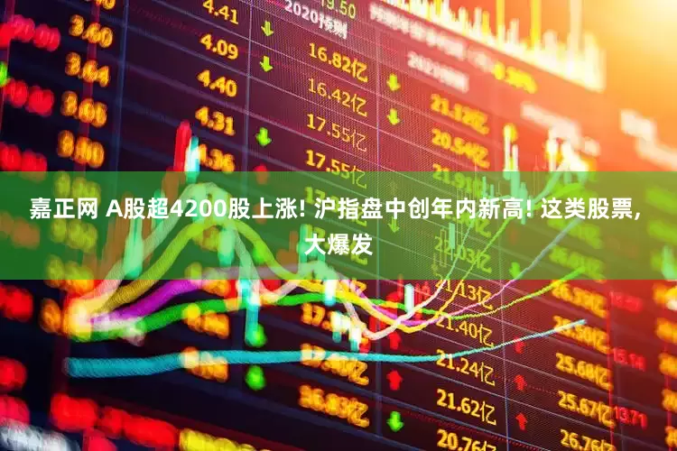 嘉正网 A股超4200股上涨! 沪指盘中创年内新高! 这类股票, 大爆发