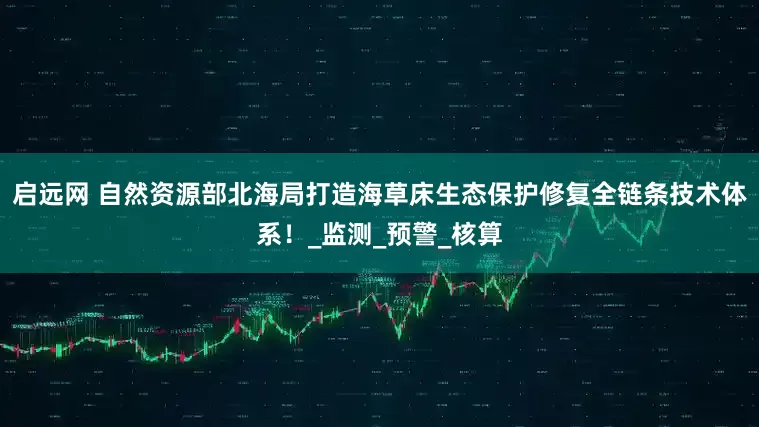 启远网 自然资源部北海局打造海草床生态保护修复全链条技术体系！_监测_预警_核算
